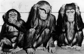The last one, shizaru, symbolizes… University Of York Academics Cancel The Three Wise Monkeys Daily Mail Online