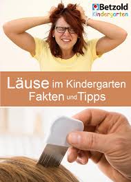 lause im kindergarten was tun kindergarten fakten lause