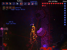 The guide voodoo doll is an item that drops from voodoo demons. Wall Of Flesh Biomes Wall Terrarium