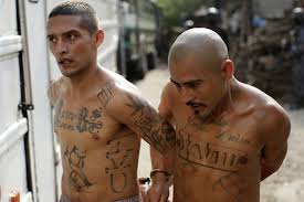 Police in the tiny central american state respond with an iron fist. El Salvador Unites Rival Ms 13 And Barrio 18 Gang Members In Same Prison After Deadliest Month In 10 Years