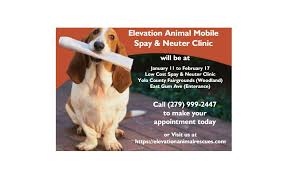 We are at the best mobile pet business near you. Elevation Animal Mobile Spay Neuter Clinic Posts Facebook
