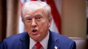 Megyn Kelly defends Trump’s tariffs