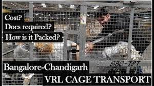 Bike Transport Bangalore Chandigarh Via Vrl Cage Transport Ladakh K2k Youtube