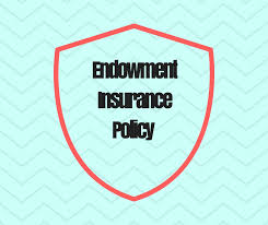 For starters, the policy holder has a pool of savings when the endowment insurance policy matures. Finance Blog Mint2save What Is Endowment Life Insurance Policy Finance Blog Mint2save