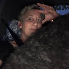 Tammy Addis Wilkins (@tammyslikes) • Instagram photos and videos