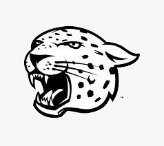 Draw small circles, irregular ovals or spots that are evenly spaced from each other. Easy Bear Face Drawings Painting Funny Drawing Easy Easy Cheetah Head Drawing Hd Png Download Transparent Png Image Pngitem