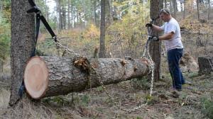 Chainsaw saw milling is a hard work but can be a lot of fun and very rewarding. How We Prepare Trees For Our Homemade Chainsaw Mill Pure Oho Search Engine For Sustainable Open Hardware Projects