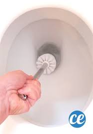 Bicarbonate Vinaigre Blanc Le Meilleur Nettoyant Pour La Cuvette Des Wc Recette Astuces Pour Nettoyer Les Toilettes Astuces Pour Nettoyer Nettoyant