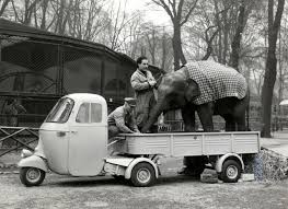 Image result for Chiaro Di Luna 1960 Piaggio