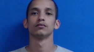 Garrett plea in Dickson woman's beating death: Life in prison