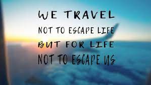Funny travel quotes are great to cheer up your day and keep the travel bug. Best Travel Quotes That Will Inspire Your Next Trip Ecobnb