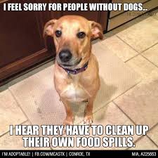Sounds Like A Lot Of Work Thankfully I Don T Have That Problem Funny Dogs Mcaspets I Love Dogs Puppies Funny Animals