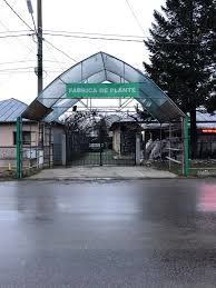 Danezii de la ferrosan, care produc suplimente alimentare şi produse sterile pentru chirurgie, au în urma acordului internaţional dintre cei doi giganţi farma, divizia ferrosan, inclusiv fabrica de la cluj, ajunge astfel în portofoliul gsk. Locatiile Fabrica De Plante 2021