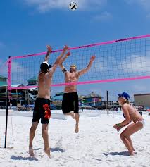 Park And Sun Sports Beach Volleyball Court Sand Auger