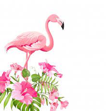 Imagem Tropical Bonita Com As Flores Cor De Rosa Do Flamingo E Do Plumeria Flamingo Art Flamingo Vector Flamingo Painting