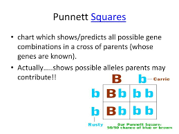 Ppt Introduction To Genetics Powerpoint Presentation Free