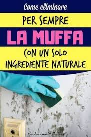 Muffa Come Eliminarla Velocemente Dalle Pareti Di Casa In Modo Naturale Detergente Fatto In Casa Rimedi Pulizia Della Casa Pulizia Della Casa