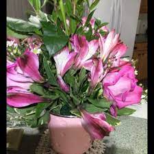 We did not find results for: Top 10 Best Flowers Gifts In The Villages Fl Last Updated July 2021 Yelp