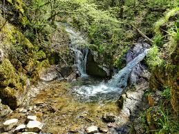 Het is dan ook niet voor niets dat het gebied geklasseerd staat. Ninglinspo Hike At The Belgian Ardennes World Wanderista