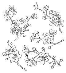 Line art floral bouquet and illustrations for you design. Laura Szumowski Illustration Cherry Blossom Line Art Flower Drawing Cherry Blossom Drawing