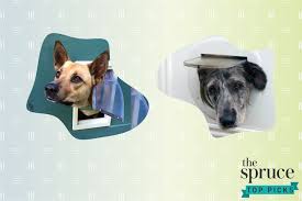 Maybe you would like to learn more about one of these? The 8 Best Dog Doors Of 2021