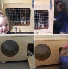 Search every post on diy genius. 10 Free Diy Rabbit Hutch Plans That Make Raising Bunnies Easy Diy Crafts
