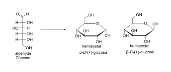 In what form are excess carbohydrates stored? How Do Animals Store Glucose Do Animals Make Glucose