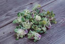 What do you get when you cross brussels sprouts with kale? Lieblingsgemuse Flower Sprouts Aussaat Anbau Augenweide