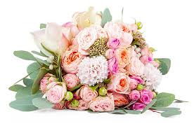 Maybe you would like to learn more about one of these? Florist Resources Floranext Florist Websites Floral Pos Floral Software