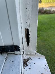 Image result for site:byggahus.se rötskada