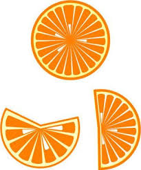 Black And White Orange Slice How To Draw An Orange Slice In Illustrator Cs Ayi
