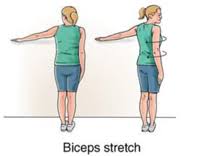 Sit on the floor with knees bent and place your arms behind you with your hands flat on the floor and fingertips facing away behind your body. Biceps Tendonitis Exercises New York Shoulder Exercises