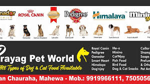 Maybe you would like to learn more about one of these? Prayag Pet World Best Pet Shop In Allahabad Best Pet Shop In Naini Allahabad Pet Store In Allahabad