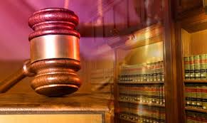 Kepentingan perlembagaan di sesebuah negara itu juga mempunyai haluan tertentu. Undang Undang Dan Pertumbuhan Ekonomi