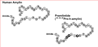 Image result for Pramlintide