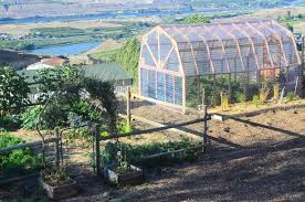 Sun hut big easy 80 replacement floor liner. How To Build A Greenhouse