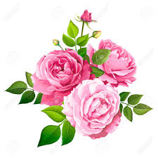 Beautiful Bouquet Flowers Of Pink Blooming Roses With Leaves And Buds  Isolated On A White Background. Lovely Floral Design Element. Vector  Illustration Royalty Free Cliparts, Vectors, And Stock Illustration. Image  127180363.