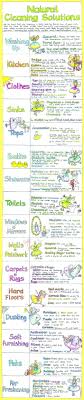 Natural Cleaning Solutions Chart Liz Cook Charts