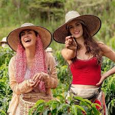 Cuenta oficial de #cafeconaroma estreno: Telemundo Anuncia Fecha De Estreno De Cafe Con Aroma De Mujer