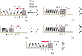 Simple Harmonic Motion A Special Periodic Motion Physics