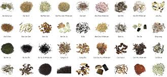 From late april, through may and into june, this fabulous plant bears a prominent whorl of bright, downward facing flowers at the top of the stem, topped by a 'crown'. Bitki Latince Isimleri 1 Kisim Turkiye Nin En Guvenilir Sitesi Nurbal Sifa Merkezi