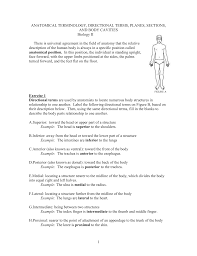 Select one or more questions using the checkboxes above each question. Anatomy Directional Terms Worksheet Answers Anatomy Drawing Diagram