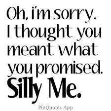 Random Things I Find Online Promise Quotes Silly Me Quotes