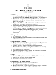 Cfo job responsibilities a chief finance officer often has to fulfill multiple roles within a company. O D Cfo Job Description Chief Financial Officer Audit