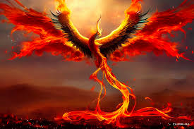 百度飞桨星河社区