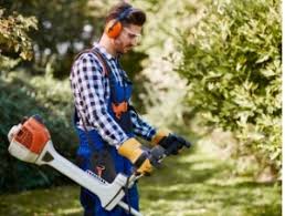 We did not find results for: Best Local Lawn Mowing Service Near Me Lawn Care Services With Free Estimates In 2021