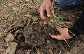 Dedication To Conservation Changes Soils, Pushes Yields