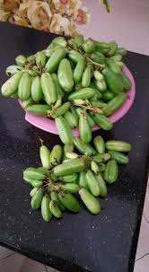 Cara membuat jeruk belimbing buluh. Cara Buat Jeruk Homemade Guna Belimbing Buluh Sedap Bebas Pengawet