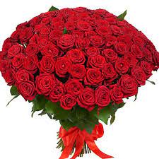 Pin On Roses