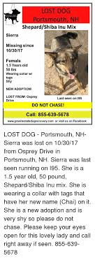 Maybe you would like to learn more about one of these? Dog Adoption Portsmouth Nh